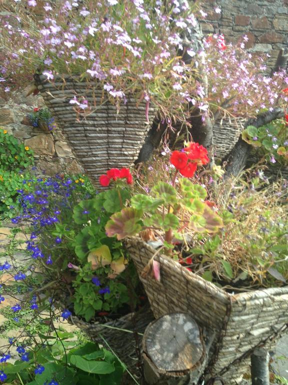 Belstane House Bed & Breakfast Cellardyke Exterior foto